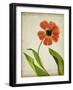 Parchment Flowers V-Judy Stalus-Framed Art Print