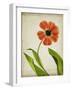 Parchment Flowers V-Judy Stalus-Framed Art Print