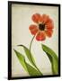Parchment Flowers V-Judy Stalus-Framed Art Print
