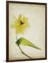 Parchment Flowers VII-Judy Stalus-Framed Art Print