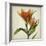 Parchment Flowers X-Judy Stalus-Framed Art Print