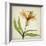 Parchment Flowers XI-Judy Stalus-Framed Art Print