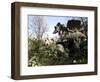 Parco Dei Monstri (Garden of the Monsters), Sacro Bosco, Bomarzo Gardens, Viterbo, Lazio, Italy-Oliviero Olivieri-Framed Photographic Print