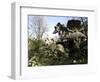 Parco Dei Monstri (Garden of the Monsters), Sacro Bosco, Bomarzo Gardens, Viterbo, Lazio, Italy-Oliviero Olivieri-Framed Photographic Print