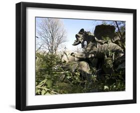 Parco Dei Monstri (Garden of the Monsters), Sacro Bosco, Bomarzo Gardens, Viterbo, Lazio, Italy-Oliviero Olivieri-Framed Photographic Print