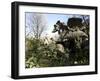 Parco Dei Monstri (Garden of the Monsters), Sacro Bosco, Bomarzo Gardens, Viterbo, Lazio, Italy-Oliviero Olivieri-Framed Photographic Print