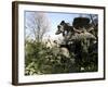 Parco Dei Monstri (Garden of the Monsters), Sacro Bosco, Bomarzo Gardens, Viterbo, Lazio, Italy-Oliviero Olivieri-Framed Photographic Print