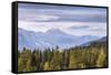 Parco Naturale Puez Odle in the Dolomites, South Tyrol, Italy, Europe-Julian Elliott-Framed Stretched Canvas