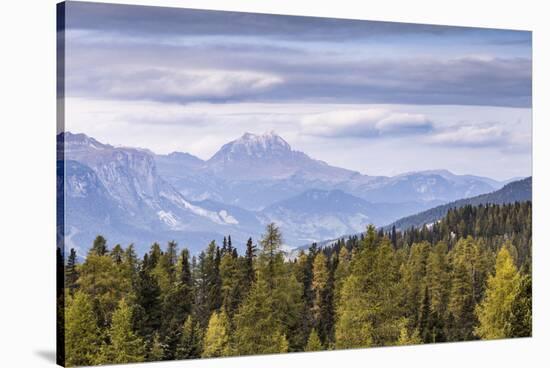 Parco Naturale Puez Odle in the Dolomites, South Tyrol, Italy, Europe-Julian Elliott-Stretched Canvas