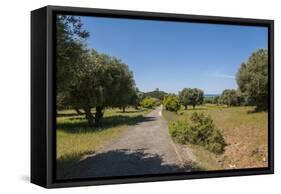 Parco Regionale Della Maremma (Parco Dell'uccellina)-Guido Cozzi-Framed Stretched Canvas