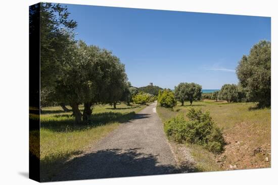 Parco Regionale Della Maremma (Parco Dell'uccellina)-Guido Cozzi-Stretched Canvas