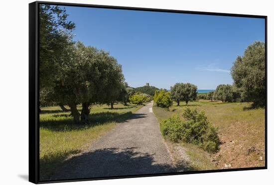 Parco Regionale Della Maremma (Parco Dell'uccellina)-Guido Cozzi-Framed Stretched Canvas