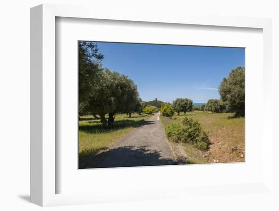 Parco Regionale Della Maremma (Parco Dell'uccellina)-Guido Cozzi-Framed Photographic Print