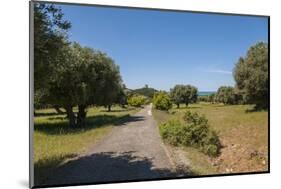 Parco Regionale Della Maremma (Parco Dell'uccellina)-Guido Cozzi-Mounted Photographic Print