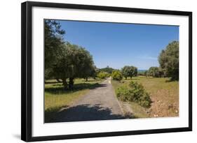 Parco Regionale Della Maremma (Parco Dell'uccellina)-Guido Cozzi-Framed Photographic Print