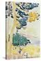 Pardigon-Henri-Edmond Cross-Stretched Canvas