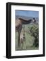 Parent and Young Giraffe-DLILLC-Framed Photographic Print