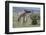 Parent and Young Giraffe-DLILLC-Framed Photographic Print