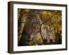 Parental Guidance-Gordon Semmens-Framed Giclee Print