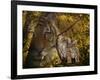 Parental Guidance-Gordon Semmens-Framed Giclee Print