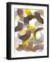 Parenthesis I-Jodi Fuchs-Framed Art Print