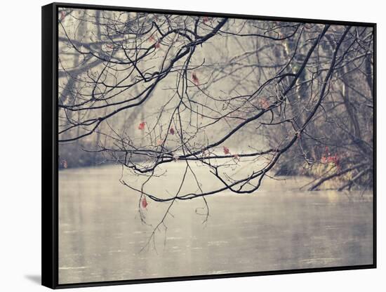 Parenthesis-Philippe Sainte-Laudy-Framed Stretched Canvas