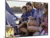 Parents And Their Children Sitting Around a Campfire Toasting Marshmallows-null-Mounted Photographic Print