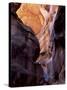 Paria Canyon, a Slot Canyon, Arizona, United States of America (U.S.A.), North America-Tony Gervis-Stretched Canvas