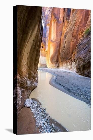 Paria Canyon, Vermillion Cliffs Wilderness, Southern Utah-Howie Garber-Stretched Canvas