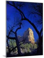 Paria Point, Zion National Park, Utah, USA-Scott T. Smith-Mounted Photographic Print