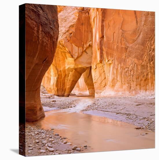 Paria River Flowing under Slide Rock in Narrow Canyon Near Kanab, Utah-John Lambing-Stretched Canvas