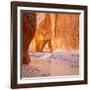 Paria River Flowing under Slide Rock in Narrow Canyon Near Kanab, Utah-John Lambing-Framed Photographic Print