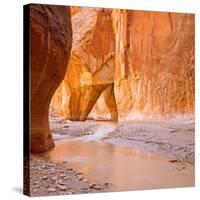 Paria River Flowing under Slide Rock in Narrow Canyon Near Kanab, Utah-John Lambing-Stretched Canvas