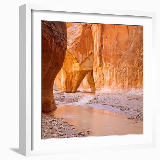 Paria River Flowing under Slide Rock in Narrow Canyon Near Kanab, Utah-John Lambing-Framed Photographic Print