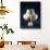 Parian Marble Vase, from Island of Antiparos-null-Giclee Print displayed on a wall