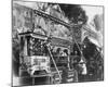 Paris, 1898 - Animal Circus, Fete des Invalides-Eugene Atget-Mounted Art Print