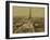 Paris, 1900 World Exhibition, View of the Champ De Mars from the Trocadero-Brothers Neurdein-Framed Photographic Print