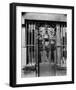 Paris, 1901 - Au bon puits, rue Michel Le Conte-Eugene Atget-Framed Art Print