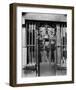 Paris, 1901 - Au bon puits, rue Michel Le Conte-Eugene Atget-Framed Art Print