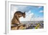 Paris Aerial View with Chimera-photo ua-Framed Photographic Print