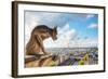 Paris Aerial View with Chimera-photo ua-Framed Photographic Print