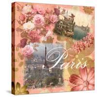 Paris Amour Coral-Lauren Gibbons-Stretched Canvas