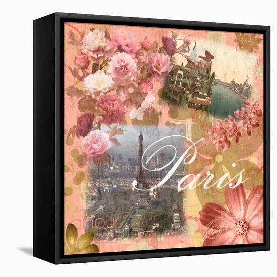 Paris Amour Coral-Lauren Gibbons-Framed Stretched Canvas