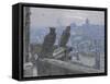 Paris as seen from the towers of Notre Dame, c. 1900-null-Framed Stretched Canvas