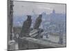 Paris as seen from the towers of Notre Dame, c. 1900-null-Mounted Giclee Print