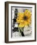 Paris Blanc-Color Bakery-Framed Giclee Print