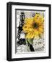 Paris Blanc-Color Bakery-Framed Giclee Print