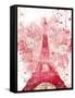 Paris Bloom-OnRei-Framed Stretched Canvas