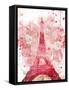 Paris Bloom-OnRei-Framed Stretched Canvas