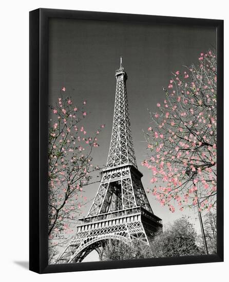 Paris Blossoms-null-Framed Mini Poster